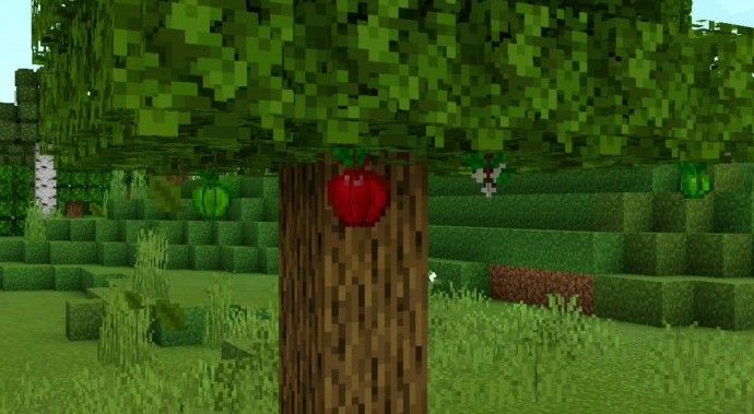 Мод better foliage 1.20. Foliage Minecraft. Better foliage.